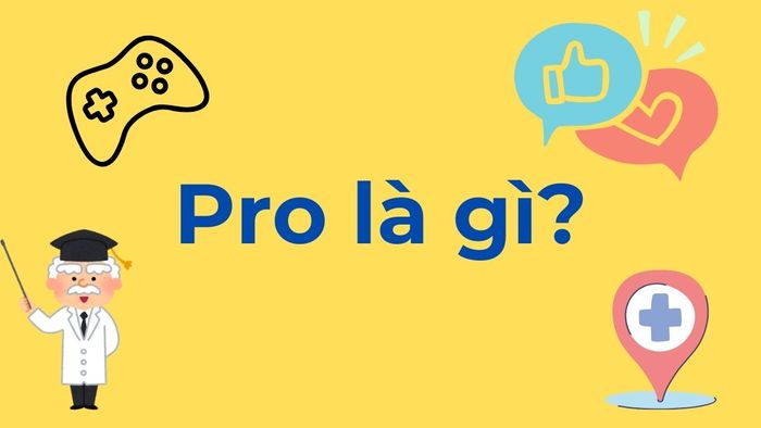 Pro là gì?